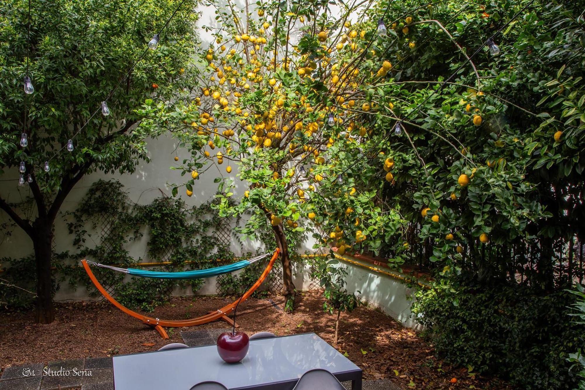 Utopia Bed & Breakfast Marigliano Εξωτερικό φωτογραφία